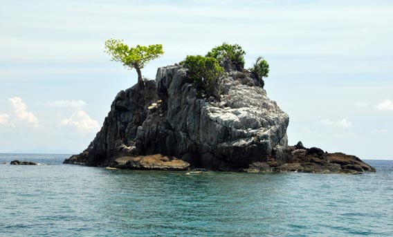 One Tree Rock dive site