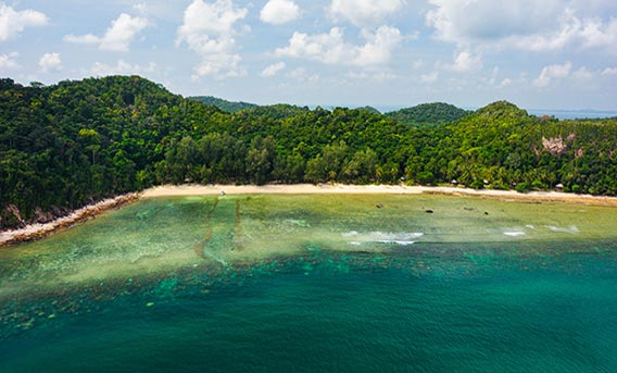 Rimba dive site