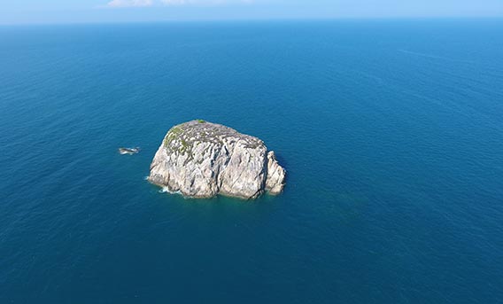 Tokong Belalang dive site