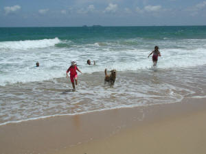 Jetty Jumping