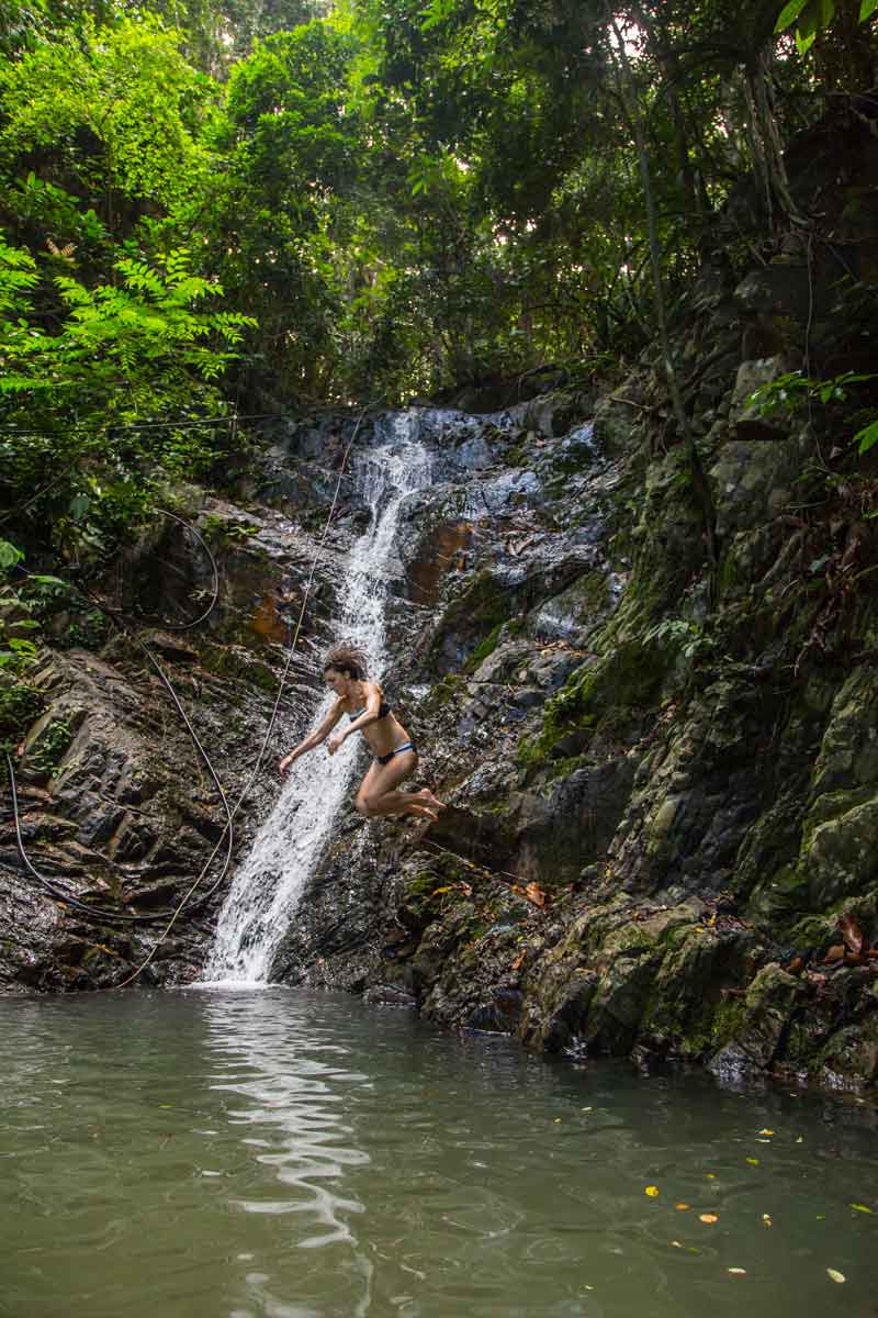 Jungle waterfall 